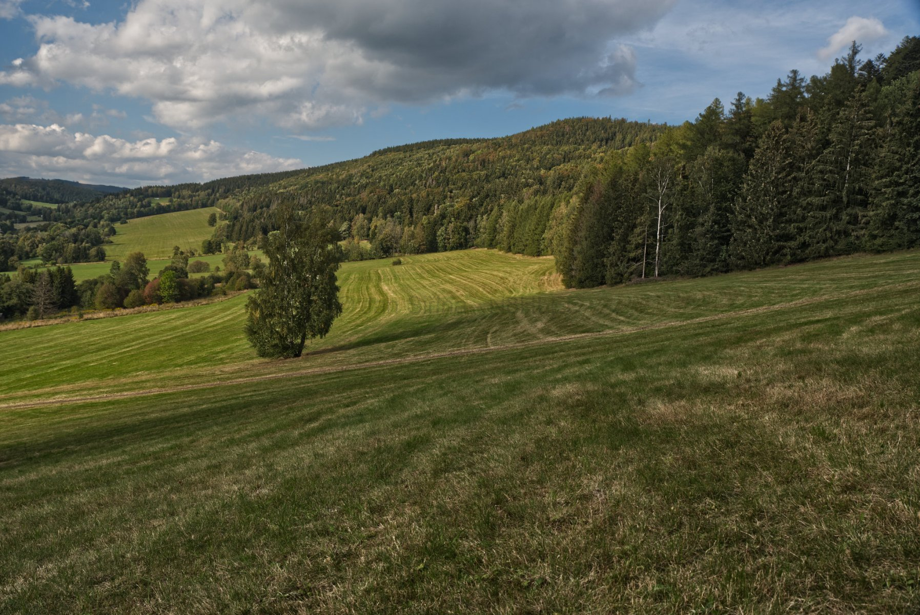 DSC_8007-nahled