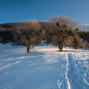 Zima na Butořance