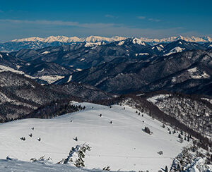 Výhled z Líšky na Veľké Fatře