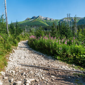 Dolina Zeleného plesa