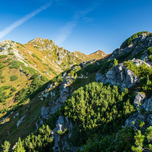 Otrhance z Nižného Ostredku