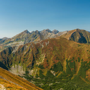 Roháče z Končisté