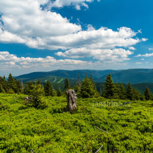 Výhled ze Spáleného vrchu