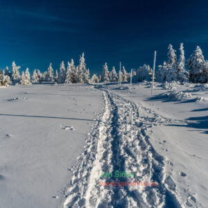 Zima nad Švýcárnou