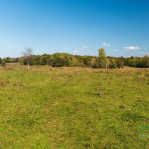 Silická planina