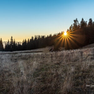 Stredná poľana pod Veľkým Chočem
