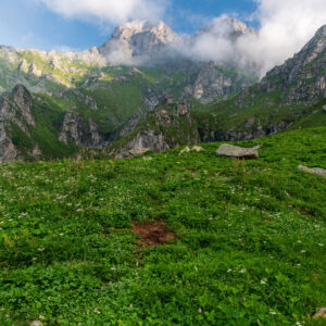 Pian Venaus
